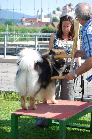 bei der ZTP Mai 2009