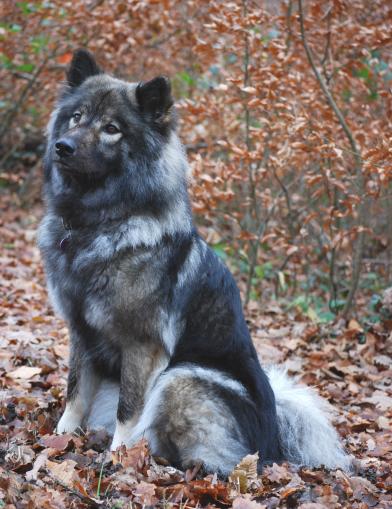 Herbstwanderung SEC 2009