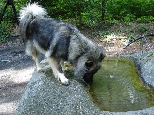 Wasser für den Durst