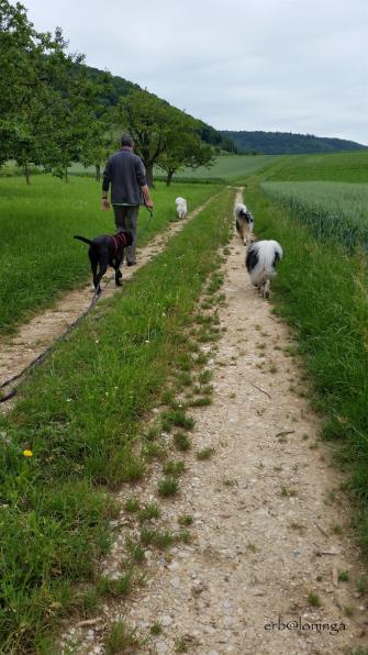 auf dem Spaziergang