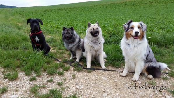 Gruppenbild vom Pfingstmontag