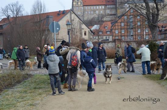 Bereit zum Spaziergang