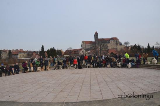sind alle drauf?