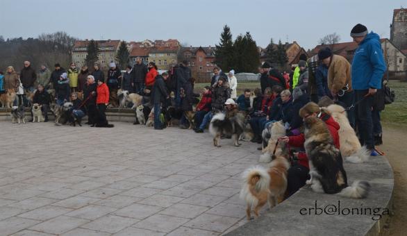 Eine Riesentruppe