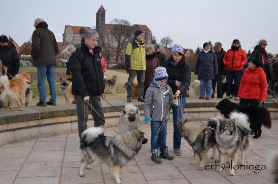 Tom mit Sanni und Velvet