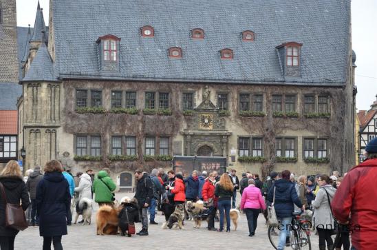 Bereit auf dem Marktplatz zur Stadtführung