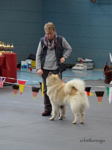 Simba in der Veteranenklasse