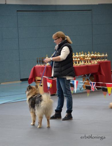 Heika vom Wolfböhl in der Veteranenklasse
