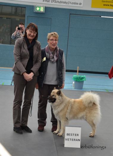 Die Richterin entscheidet sich für Simba bei den Veteranen (Hündin und Rüde)