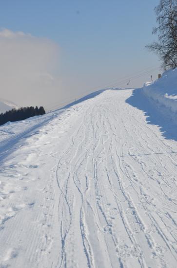 Schnee, Schnee, Schnee