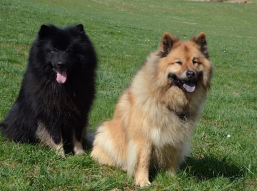 Arthos und Leya