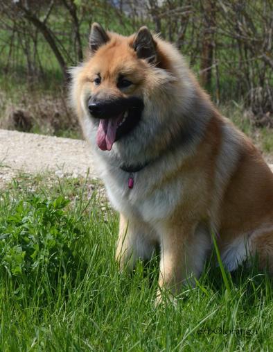 Aika mit fast 10 Monaten