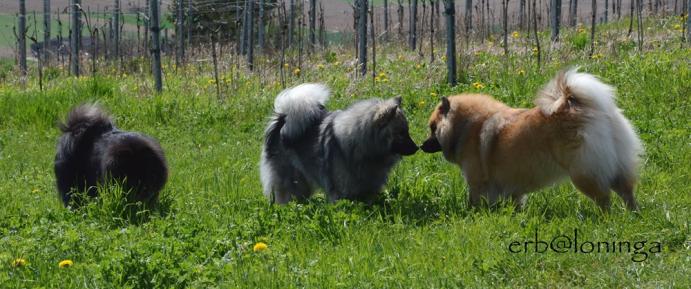 Anila mit Aika