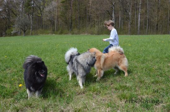 Spielen mit den Kindern ist auch toll