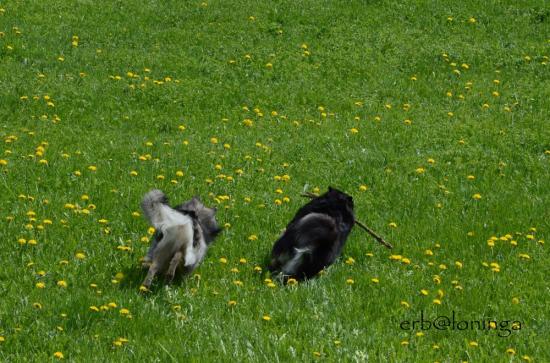 und weiter gehts