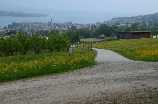 Schöner Ausblick auf den See