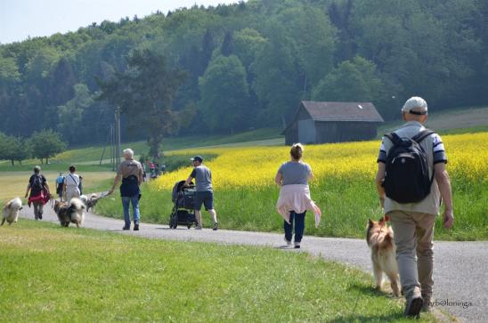 durch Wiesen und Wälder