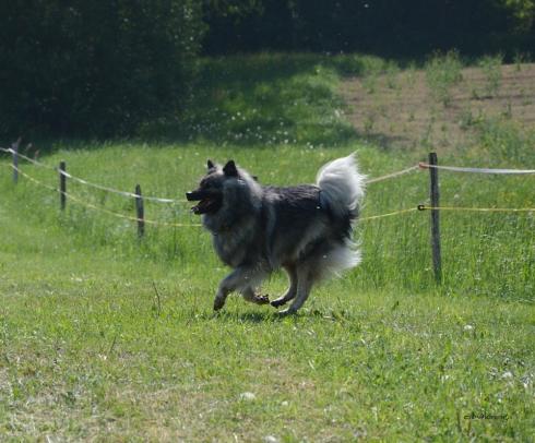 auch Anila freut sich....