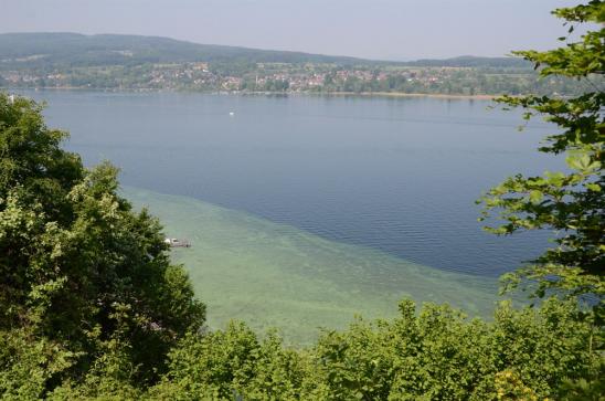 Ausblick