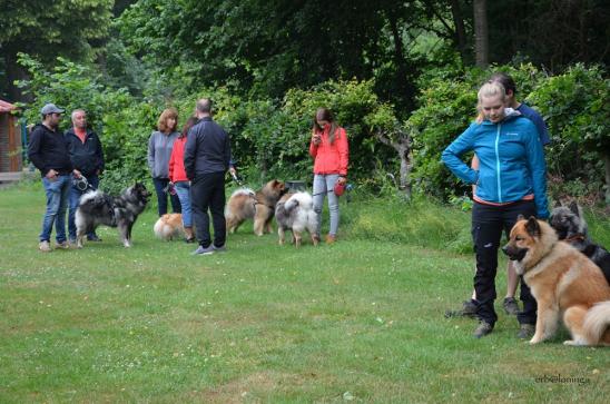 Start zum Rundgang mit Fragen.....