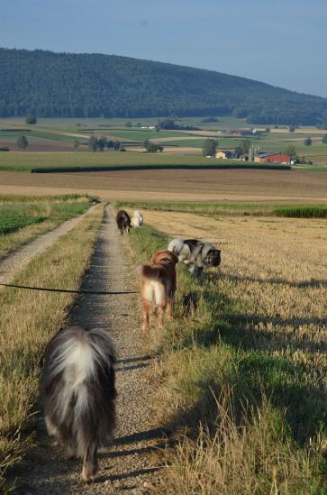 und los gehts