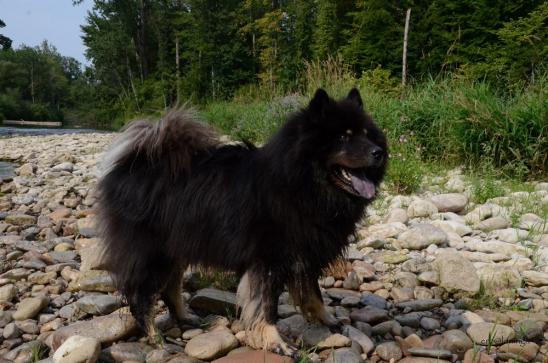 Yeno mit seine 12 Jahren ist topfit