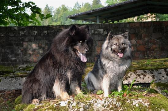 Yeno und Anila