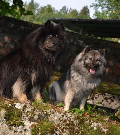 Yeno und Anila