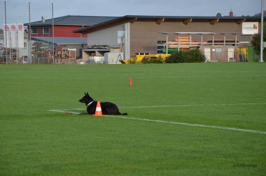 Im Viereck Sitz und Platz warten