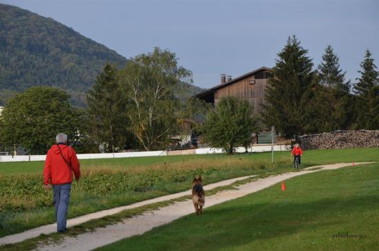 Begegnung mit Velofahrer