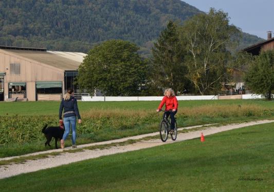 Begegnung mit Velofahrer