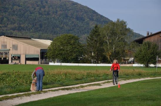 Begegnung mit Velofahrer