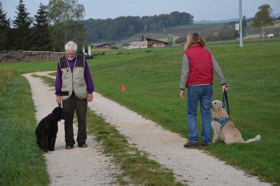Hundebegegnung
