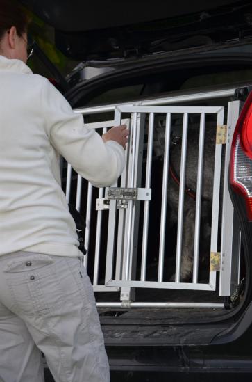 Hund in Auto ein - und ausladen