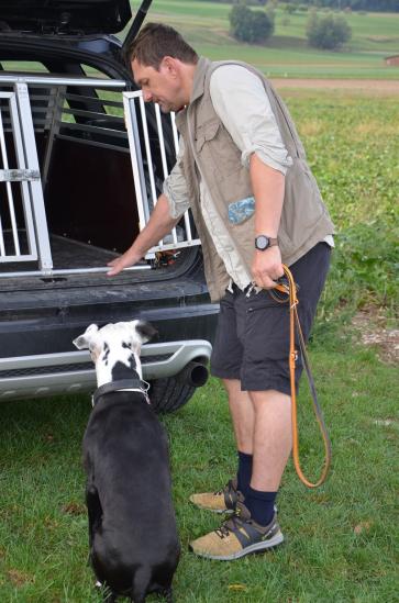 Hund in Auto ein - und ausladen