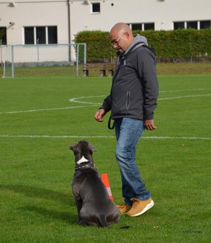 im Viereck - Sitz und Platz warten