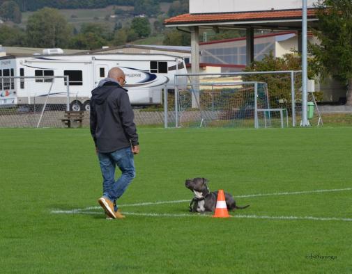 im Viereck - Sitz und Platz warten