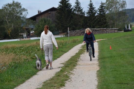 Begegnung mit Velofahrer