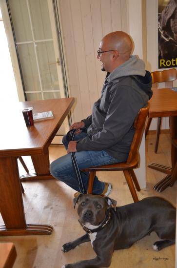 im Restaurant mit Hund