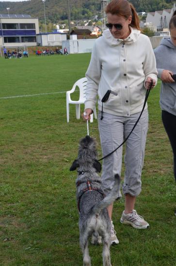 als Geschenk bekommt der Hund ein Spielzeug