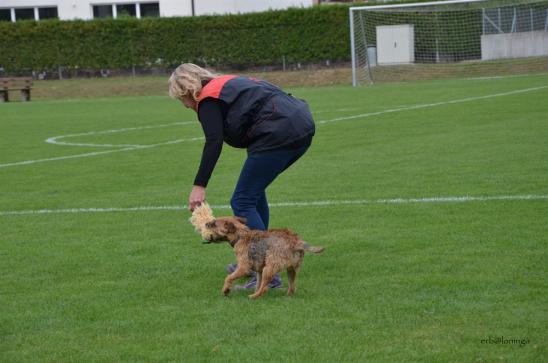 Spielen mit Hund und ausgeben
