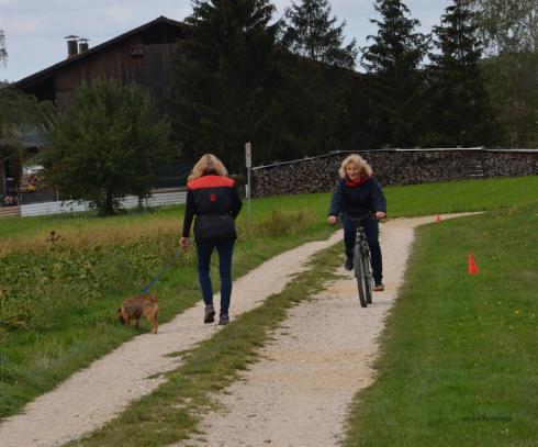Begegnung mit Radfahrer