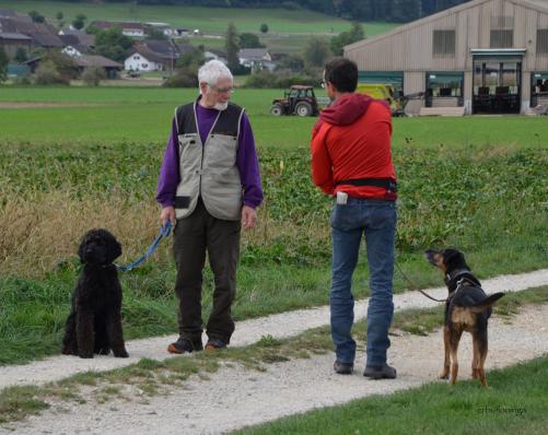 Hundebegegnung