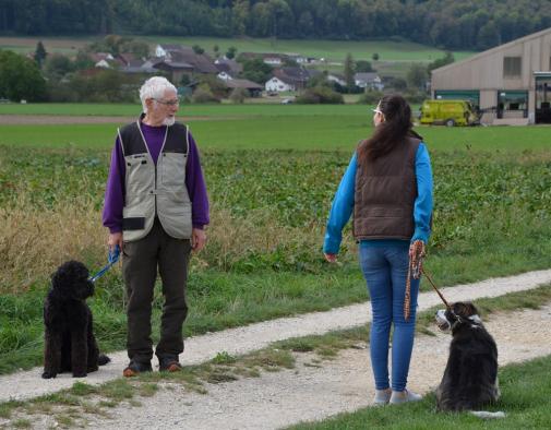 Hundebegegnung