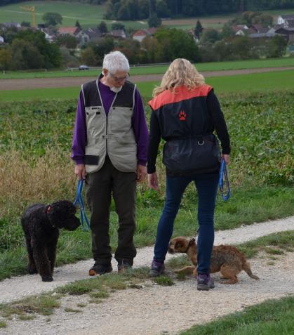 Hundebegegnung