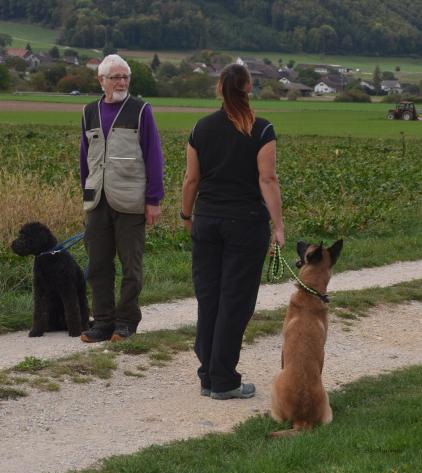 Hundebegegnung