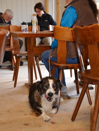 Restaurantbesuch
