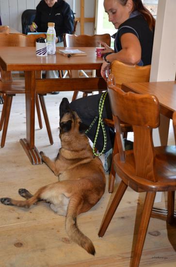 Restaurantbesuch