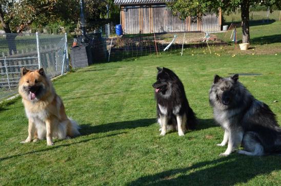 Acira , Aragon und Mama Anila