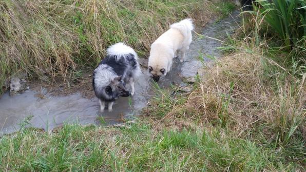 endlich Wasser
